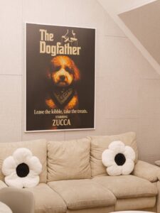 84902FD4386A1EDB02A53D567B60836E1AA971DE play area